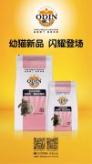 奧丁精品幼貓糧閃耀登場(chǎng)！！！